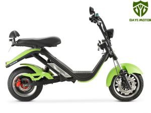 1500W EEC Citycoco للبالغين