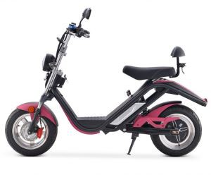 أوروبا شارع التنقل القانونية سكوتر Citycoco