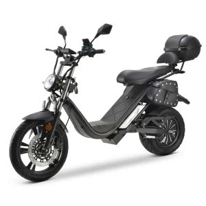 توصيل روتردام  4000 W Citycoco Motercycle